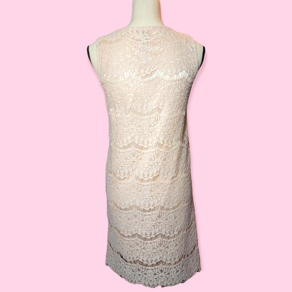 New Ivory Blush Scoop Neck Lace Overlay Silky Satin Sleeveless Dress Size Small - Picture 3 of 6